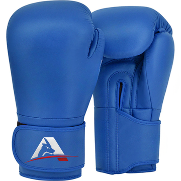 GS Sports Premium Leather Boxing Gloves - Professional Training Gear